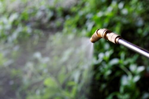 Who Qualifies For A Paraquat Lawsuit? Paraquat Lawsuit